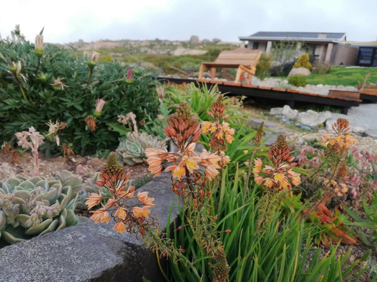 Onze Uitsight Cottage St Helena Bay Eksteriør billede