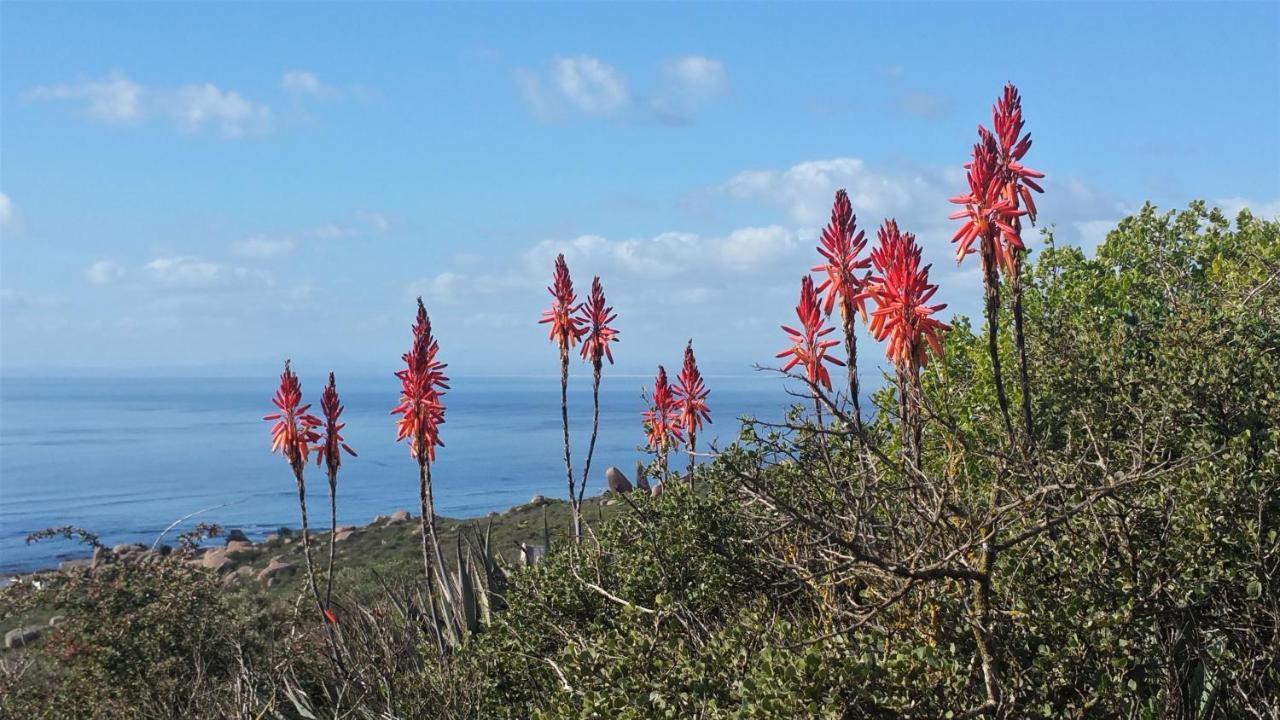 Onze Uitsight Cottage St Helena Bay Eksteriør billede